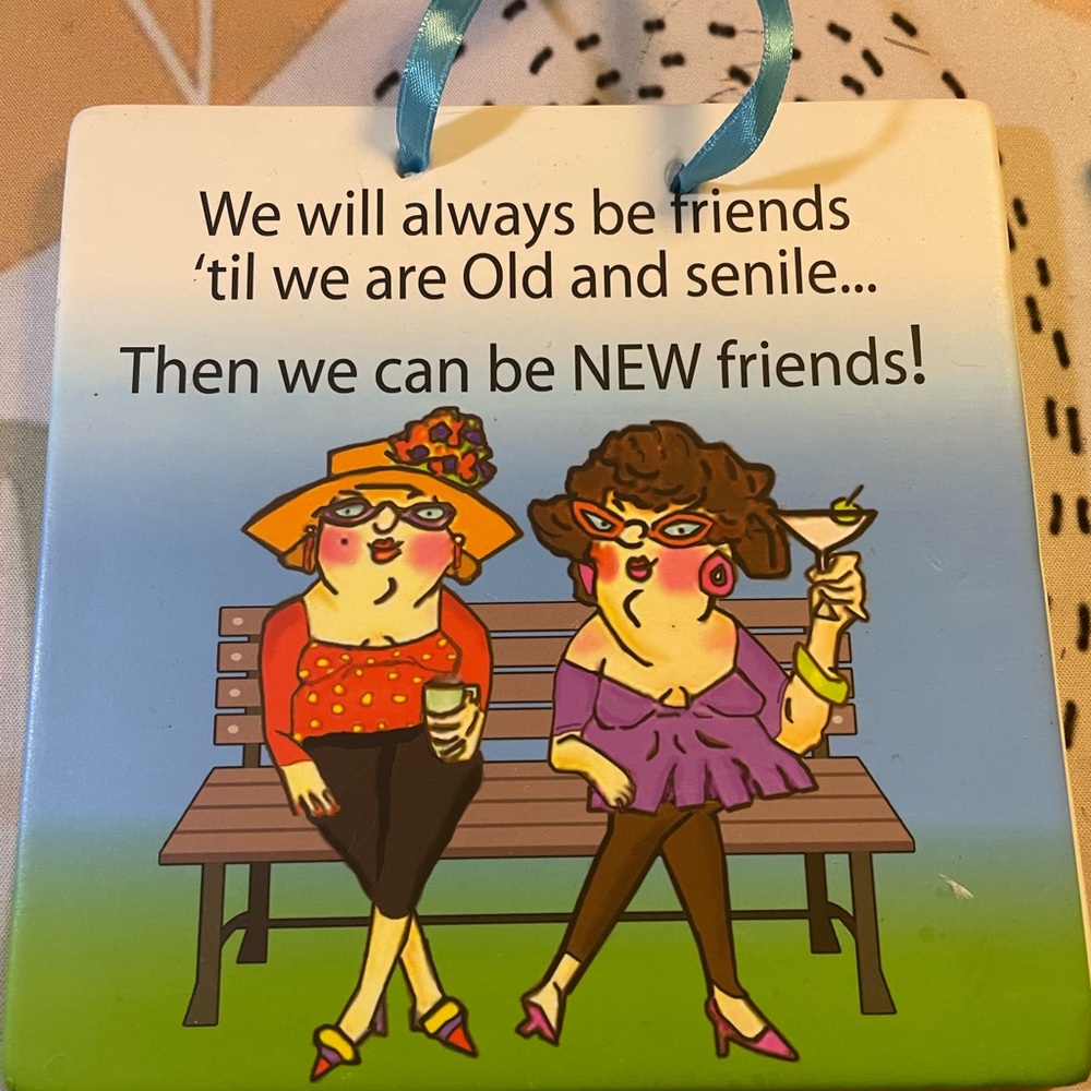 Humorous Friendship Wall Plaque Growing old together